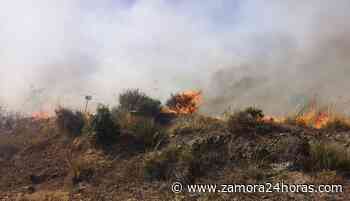 Los incendios en Zamora no cesan: originados dos fuegos más - Zamora24horas.com