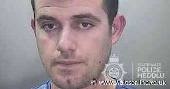 Student in debt 'persuaded' to come to UK to work as cannabis factory gardener