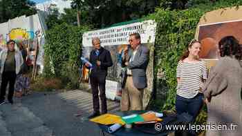 «Un chef-d'œuvre en péril» : à Meudon, experts des sciences et de l'art refusent le comblement de la carrière Arnaudet - Le Parisien