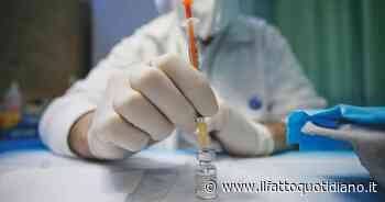 Vaiolo delle scimmie, l’Oms: “Emergenza sanitaria globale”