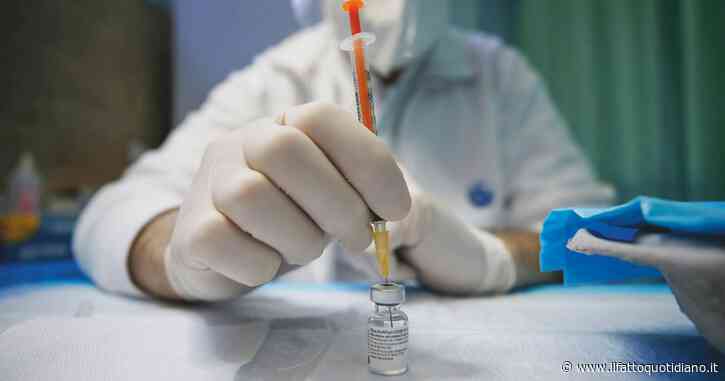 Vaiolo delle scimmie, l’Oms: “Emergenza sanitaria globale”. Oltre 14mila casi nel mondo