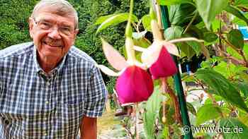 Nun doch wieder eine Fuchsienbörse in Jena - Ostthüringer Zeitung