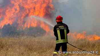 Benevento, arriva l'ordinanza antincendio: tutto ciò che non si può fare - anteprima24.it