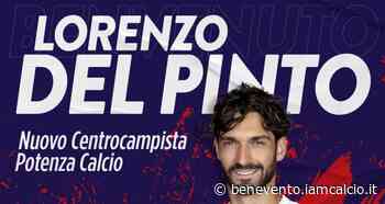 Benevento. Il mercato degli "ex": Del Pinto resta in C, Camporese in B - Benevento IamCALCIO