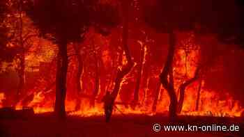 Griechenland: 40 Grad Hitze und immer neue Brände
