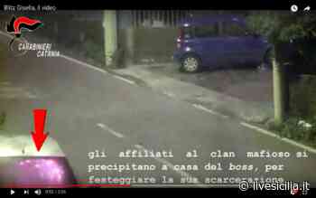 Clan Nicotra, il patto con Mazzei e il regalo al boss di Brancaccio - Livesicilia.it