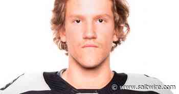 UPDATED: Cape Breton Eagles acquire defenceman in deal with Gatineau Olympiques - Saltwire
