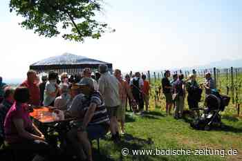 An Pfingsten steigt die zehnte Weinwanderung in den Reben über Kenzingen - Kenzingen - badische-zeitung.de