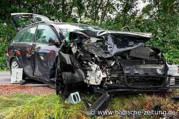 Kenzinger Wehr im Vorjahr mehr als 200 mal im Einsatz - Kenzingen - badische-zeitung.de