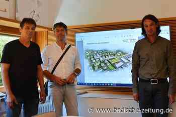 In Kenzingen könnten im Pfannenstiel 450 Wohneinheiten entstehen - Kenzingen - badische-zeitung.de