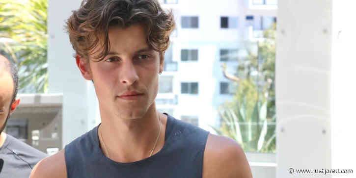 Shawn Mendes Gets Support From Demi Lovato After Announcing Tour Break
