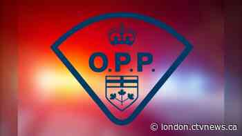 Two teenagers allegedly vandalize playground in Komoka using hair dye - CTV News London