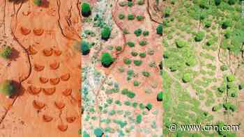 The surprisingly simple technique that can turn deserts green