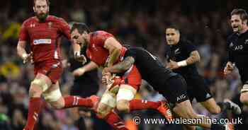 Tonight's rugby news as Sam Warburton reveals he considered quitting at 25 and Scarlets star heads for World Cup