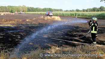 Feuer in Dannenbüttel: Zwei Hektar Feld stehen in Flammen
