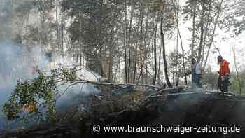 Feuer im Großen Moor bei Gifhorn: Löscharbeiten dauern an