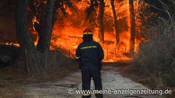 Waldbrände in ganz Europa: Brand auf Lesbos - Griechische Küstenwache muss Einwohner von Stränden retten
