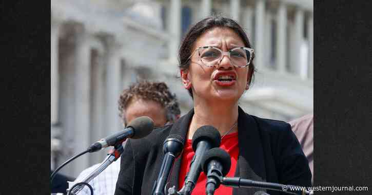 Tlaib Goes On Unhinged Rant Against Parents Concerned About CRT in Schools: 'Continue Pushing Back'