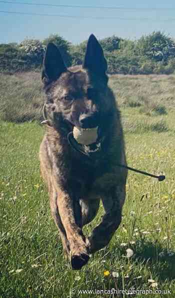 Burnley: PD Blitz locates man who had been 'trying car doors'