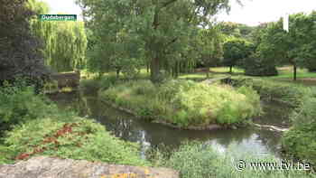 Vlaanderen verdrievoudigt investering Commanderij Gruitrode - TV Limburg