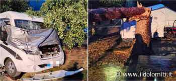 Paura all'alba in un campeggio, un grosso albero si è schiantato su un camper - il Dolomiti