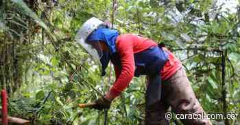 La familia de San Luis que se salvó de morir en una mina, son 88 municipios libres - Caracol Radio