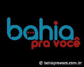 Juazeiro é a casa do judô na Bahia nesse final de semana - Bahia Pra Você