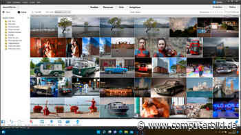 Adobe Photoshop Elements 2022: Test der Bildbearbeitung - COMPUTER BILD - COMPUTER BILD