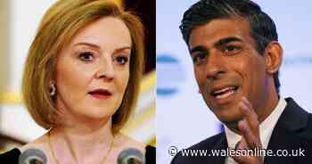 Rishi Sunak ahead of Liz Truss by only a few percentage points after public asked to rate Prime Minister candidates