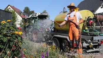 Stadtgärtnerei im Hitzestress: Wie viel Wasser darf es in Marktheidenfeld sein und für wen? - Main-Post