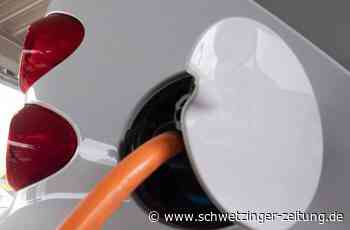 Die Bauhofflotte wird immer grüner - Eppelheim - Nachrichten und Informationen - Schwetzinger Zeitung