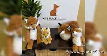 Child And Youth Advocacy Centre Coming To Saint John - country94.ca