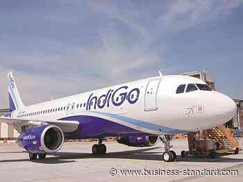IndiGo airlines: Financial headwinds make aviation leaders flight wobbly - Business Standard