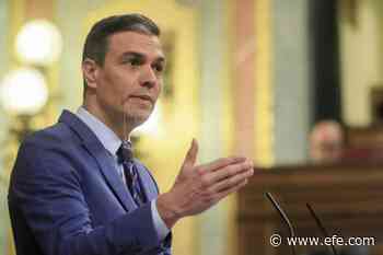 Sánchez anunciará en el debate sobre el estado medidas para remontar y cohesionar su Gobierno - Agencia EFE