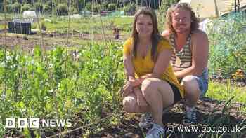The allotment firms helping to trim long waiting lists