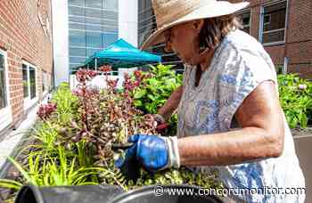 After years of vision and effort, rooftop garden at Concord Hospital takes shape - Concord Monitor