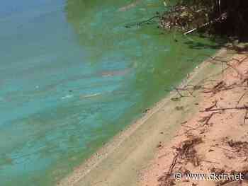 Another Algae Bloom Reported Near Sioux Lookout - ckdr.net