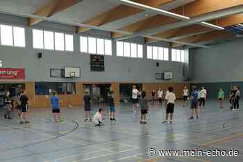 Marktheidenfeld: Ein Hauch von Olympia und Bundesliga in der Halle - Main-Echo