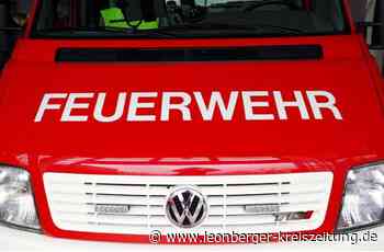 Doch kein Flächenbrand bei Leonberg - Eine Rauchschwade ohne Feuer - Leonberger Kreiszeitung