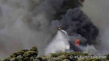 El clima extremo es un coro de clamores amargos de la Tierra, dice el Papa - Euronews Español