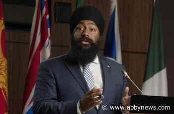 Tories, advocates call on Ottawa to remove bureaucratic hurdles to resettling Afghans