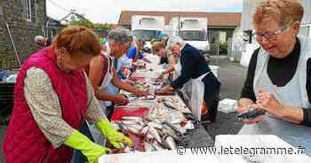 Saint-Brieuc - Saint-Brieuc : dans les coulisses de la Fête du maquereau à Cesson, les bénévoles préparent le poisson - Le Télégramme