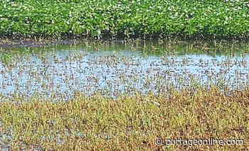 MacGregor farmer describes ordeal through Tuesday morning storm - PortageOnline.com