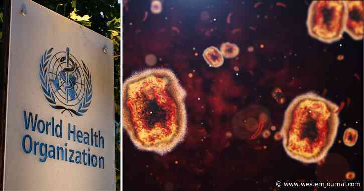 WHO Declares Monkeypox Global Public Health Emergency