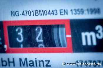 Forscherin: Energiewende greift noch zu kurz - freiepresse.de