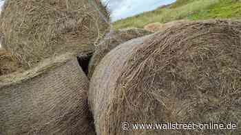 NRW-Bauern rechnen wegen Umweltauflagen mit Einbußen Wirtschaft - wallstreet:online AG
