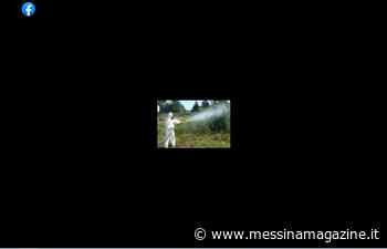 Disinfestazione in città..., a Messina - Messina Magazine