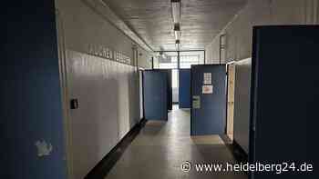 Fauler Pelz in Heidelberg: Gemeinderat vertraut Landes-Versprechen nicht - heidelberg24.de