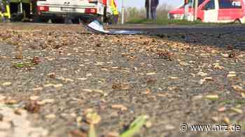 Nach Unfall: Straße in Kalkar von Tausenden Maden übersät - NRZ News