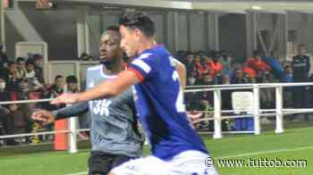 Giornale di Sicilia: "Dopo la batosta di Pisa, Palermo a caccia di rinforzi" - Tutto B